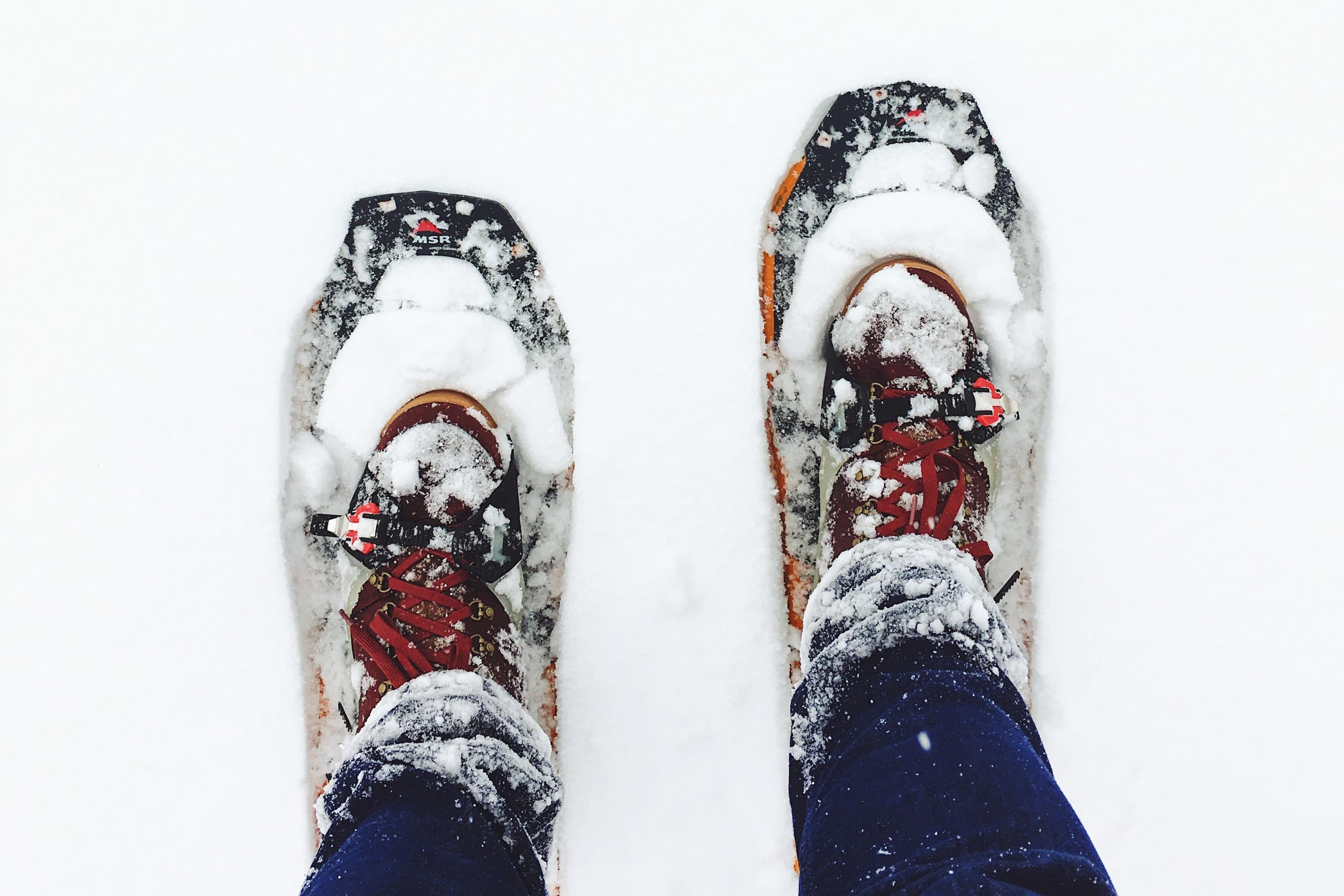 Snowshoes