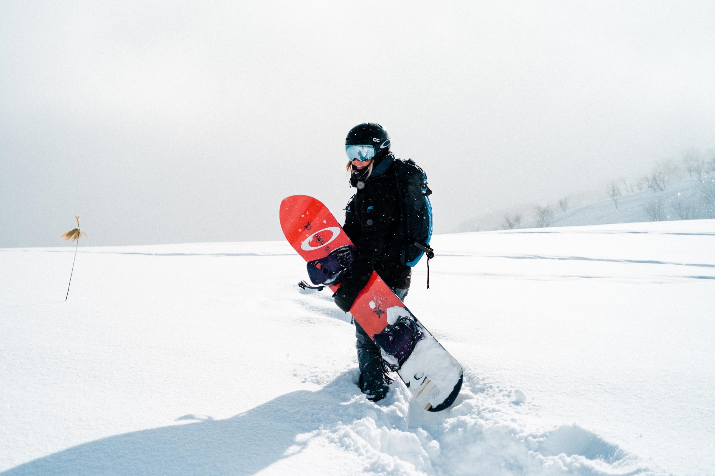 Women's Snowboard