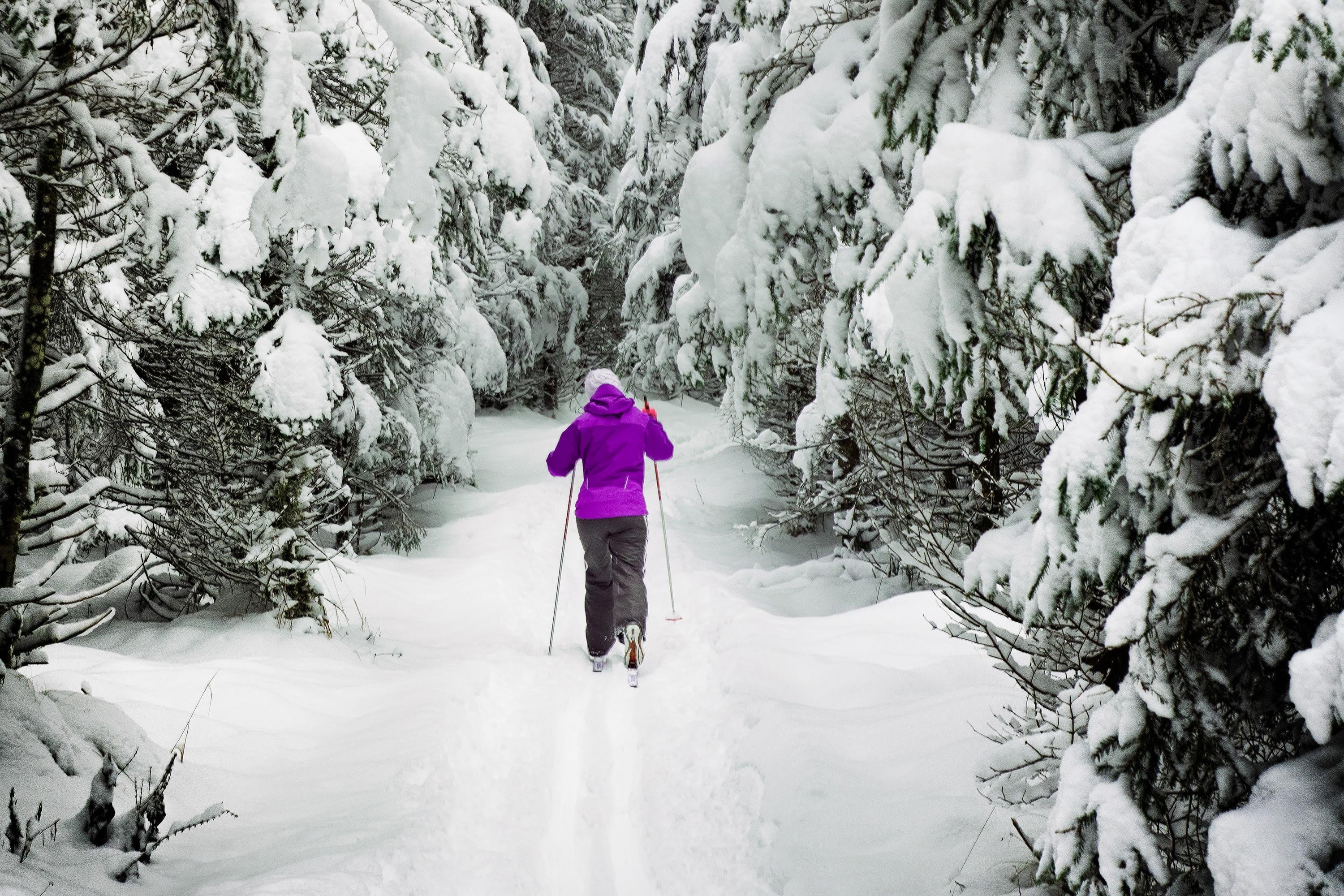 XC – Snowflake Ski Shop