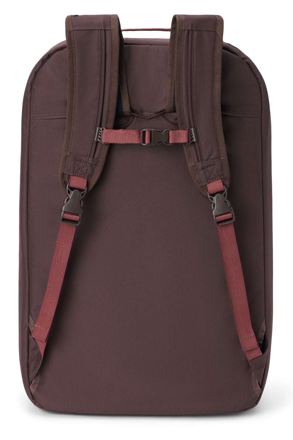 The back view of a dark brown backpack with muted red straps and black plastic buckles, shown on a clean white background.