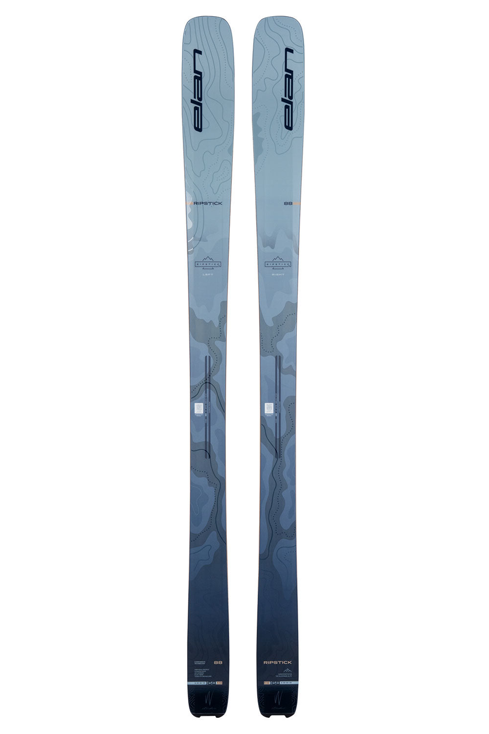 Pair of blue skis with black tips and tails on a white background
