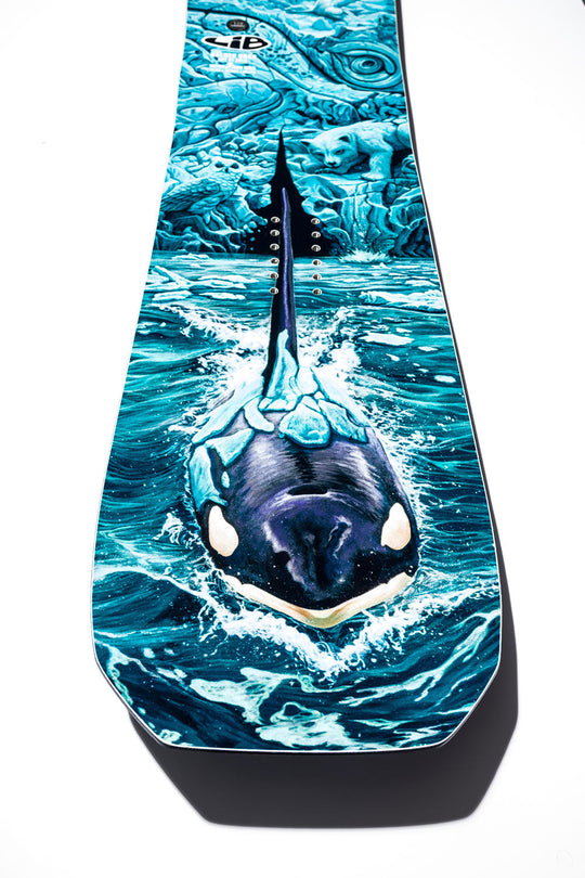 snowboard with orca whale design on a white background