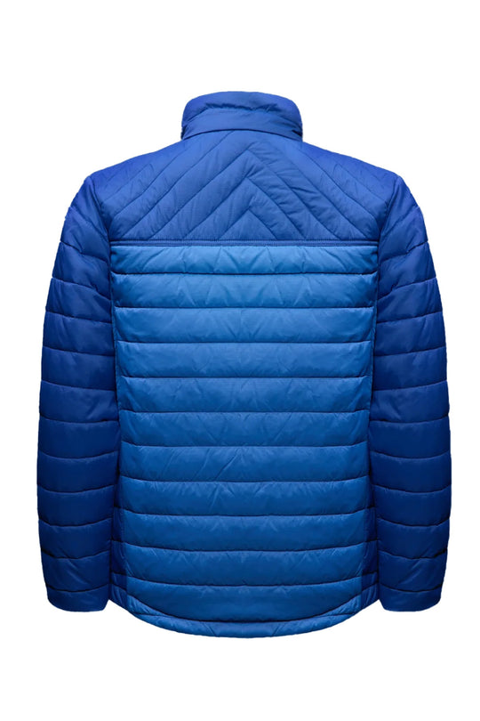A royal blue quilted puffer jacket shown from the back, featuring horizontal stitching on the body and vertical quilting on the sleeves and collar, set against a plain white background.