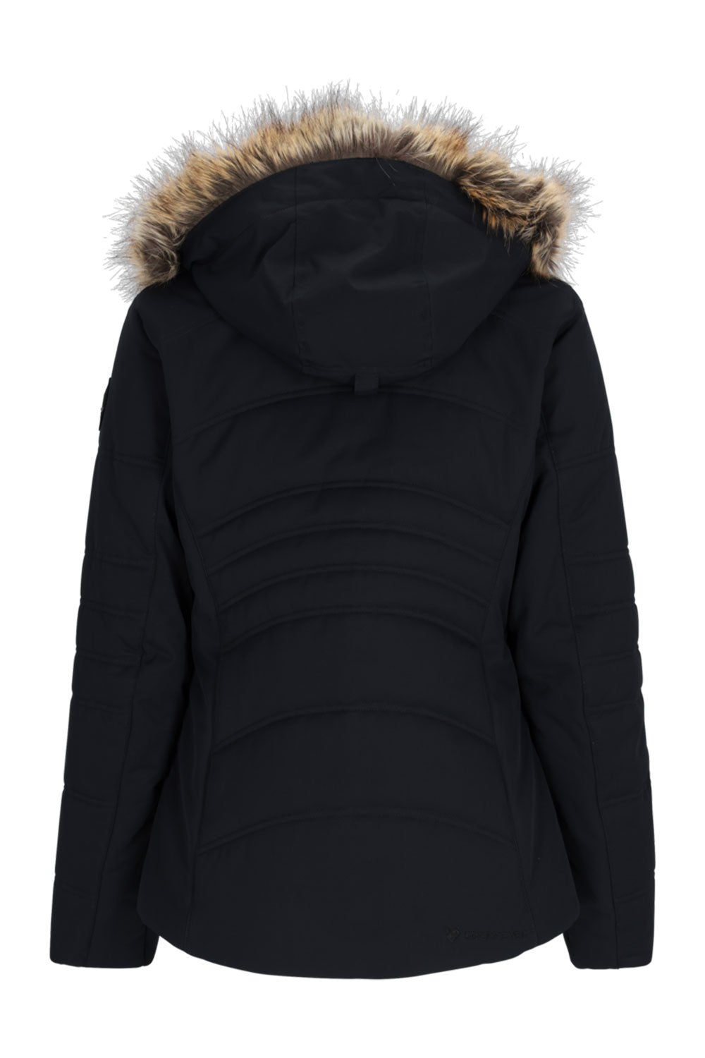 Black winter jacket with fur-lined hood on a white background
