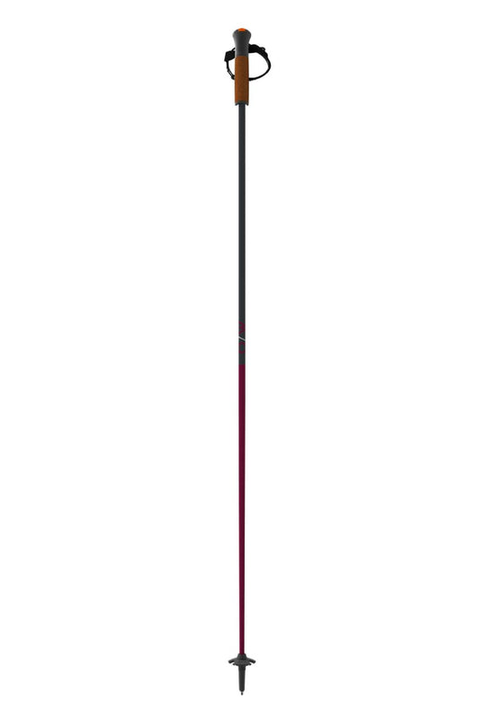 One Way Ski Poles, purple and gray